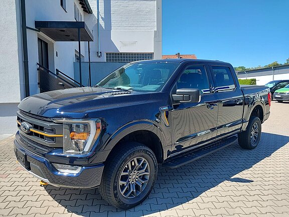 FORD_TREMOR_F150__2_.jpg