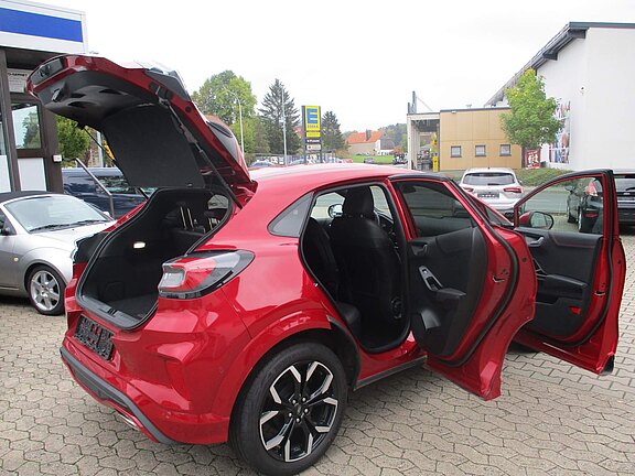 Puma_Red-Met.Nr.12__3_.JPG 