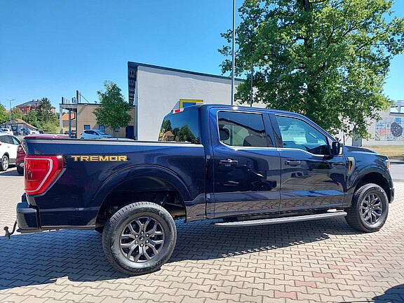 FORD_TREMOR_F150__4_.jpg