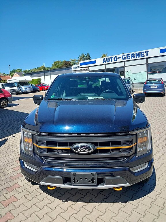 FORD_TREMOR_F150__1_.jpg